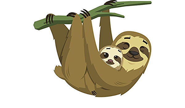 Illustration of an adult sloth hanging on a tree branch with a baby sloth cuddled against its chest. 