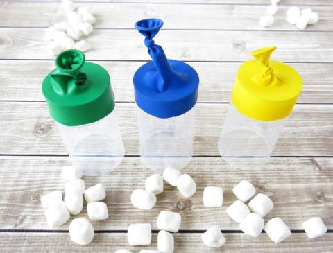 Several plastic cups with balloons stretched across the top sit on a hardwood surface. In front of them lie a handful of mini marshmallows.