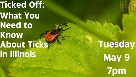 Ticks