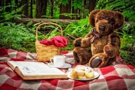 Photo of a brown teddy bear sitting outside on a red and white checked blanket with an open book, picnic basket, cup and saucer, and plate of cookies beside it.