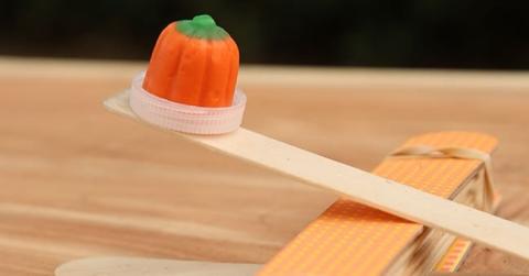 STEAM: Pumpkin Catapults