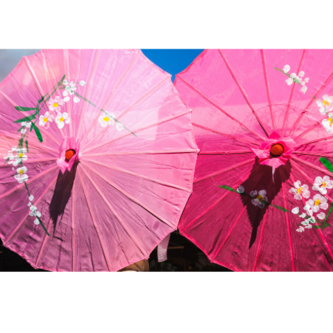 Two pink paper parasols decorated with white flowers sit against a blue background.