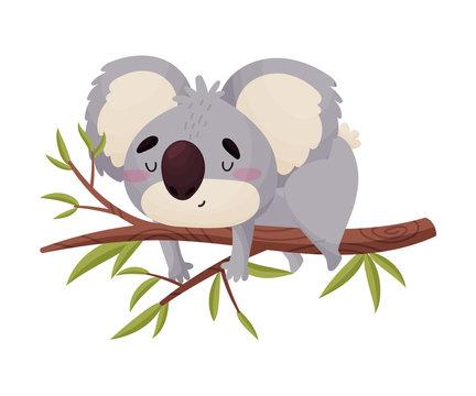 Illustration of a koala sleeping on a tree branch.