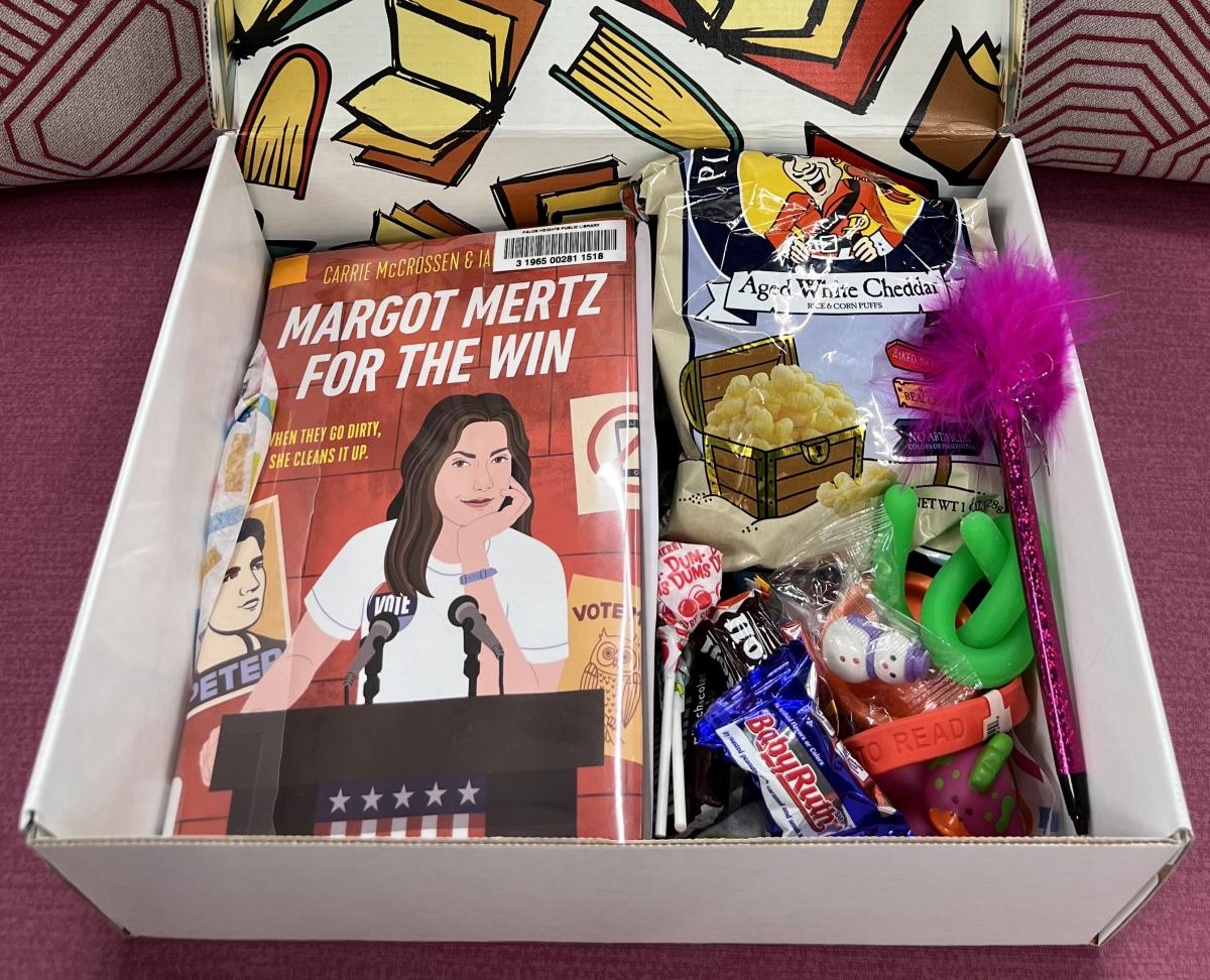 Sample Teen Book Box