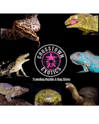 Crosstown Exotics Reptile Show